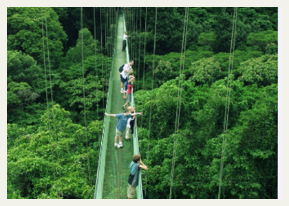 costa-rica-tours-canopy-walkway