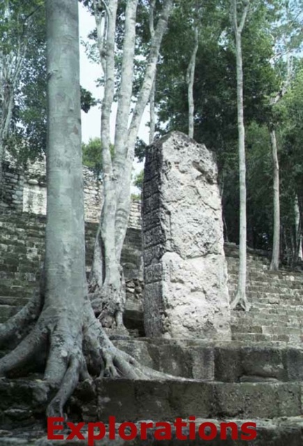 calakmul-stelae-stairs_WM