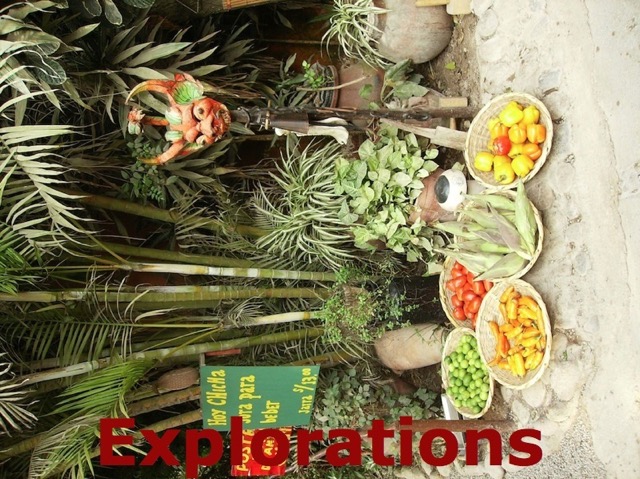 Peru South Coast Explorations - 206_WM