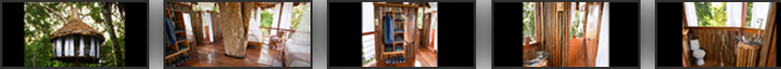 amazon trehhouse lodge 9