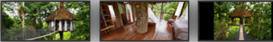 Threehouse amazon cabin 10