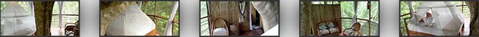 Treehouse Amazon Lodge #3