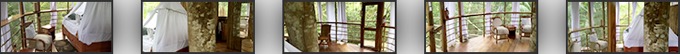 Treehouse Amazon Lodge #5