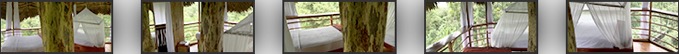 Treehouse Amazon Lodge #6