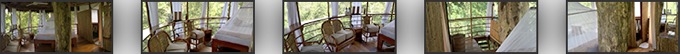 Treehouse Amazon Lodge #7