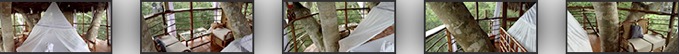 Treehouse Amazon Lodge #8