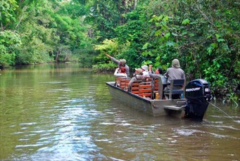 cattleya boat excursion