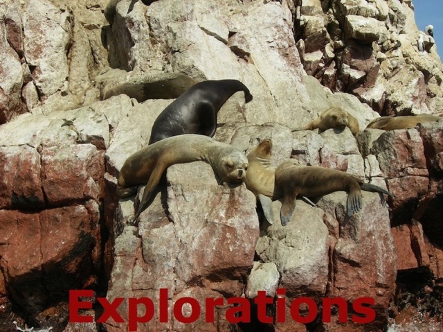 Peru South Coast Explorations - 034_WM