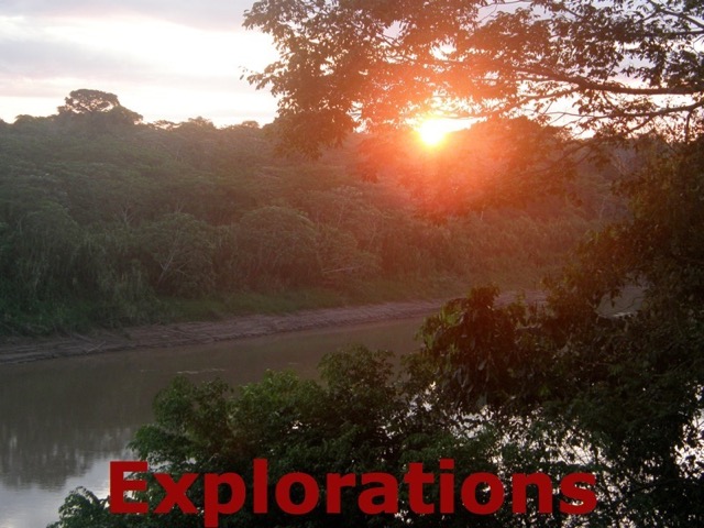 Amazon Tambopata rainforest nature wildlife-2_WM
