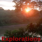 Amazon Tambopata rainforest nature wildlife-2_WM